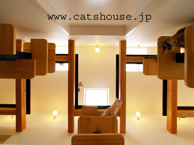 猫の家　The Cats' House TOP