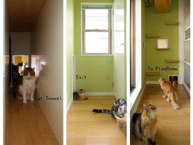 猫の家　写真集P17